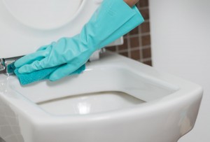 Person Cleaning The Toilet Seat In Rubber Gloves