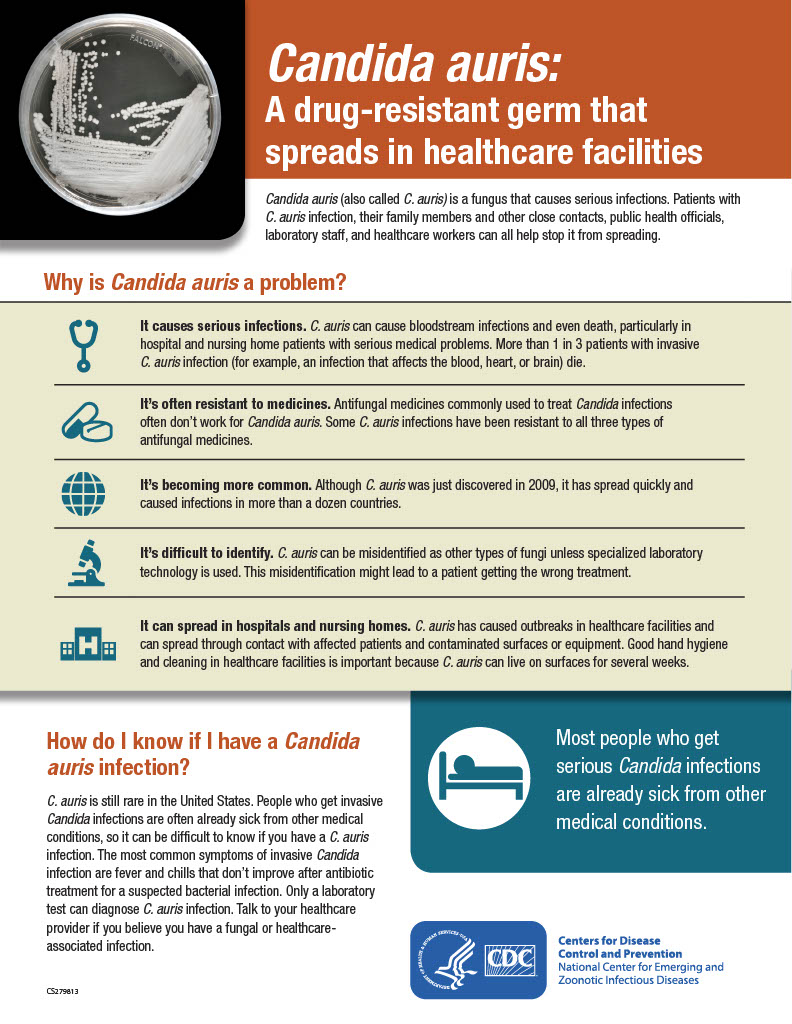 CDC Fact Sheet on Candida Auris