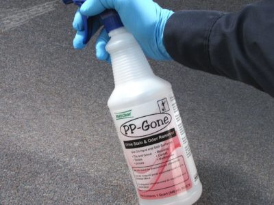 Spraying PP-Gone on a carpet