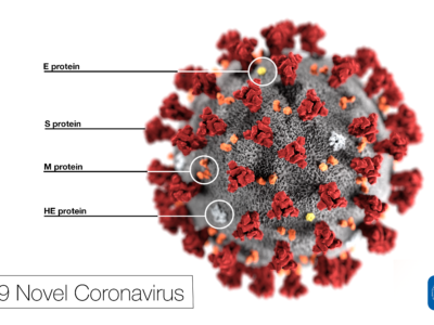 image of the virus that causes COVID-19