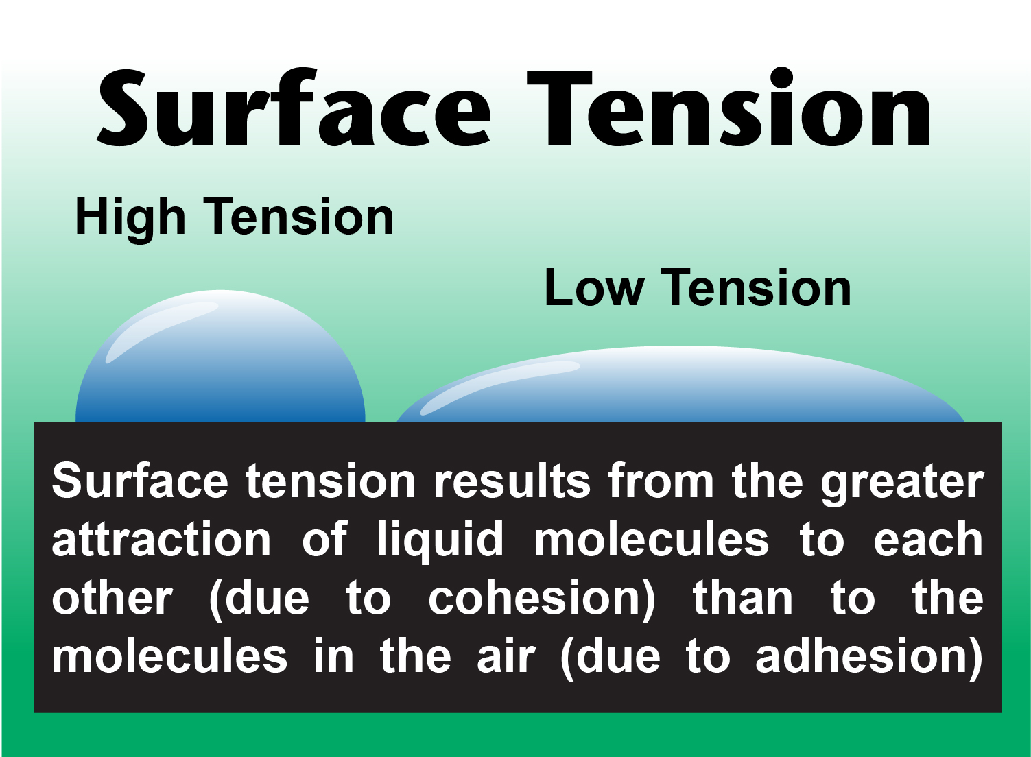 Surface Tension Graphic